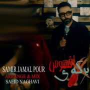 دانلود آهنگ جدید سمیر جمالپور برکه ی افسوس